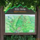 숲테라피 이미지