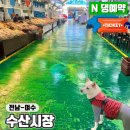 여수 수산시장 가리비 건어물 할인 시세 주차장 애견동반 여행