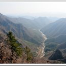 밤차 - 창원시 마산합포구 불종거리로 33 | 밤차