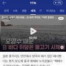 정어리 시체가 파도처럼... 日 현지 주민도 "이런 광경은 처음" 방사능 오염수 때문 이미지