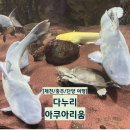 [제천/충주/단양 여행] 다누리아쿠아리움 주차장 / 입장료 / 관람시간 등 정보