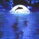 그랑블루 이미지