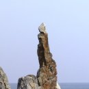 대변해변3 이미지