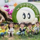 군산꽁보리 이미지