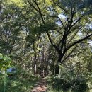 수촌 경로당 이미지