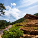 청계동솔바람야영장 이미지