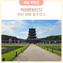 백제농장 | 부여 가볼만한곳 백제문화단지 부여여행 필수코스