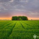 고군산-시간여행마을 이미지