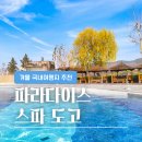 [아산/파라다이스 스파 도고] 겨울 노천온천 스파 생일 무료 입장 후기 (동반 50% 할인)