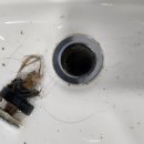 티타운빌딩 이미지