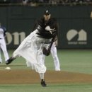 풀빛고운 이미지