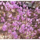 미성동-28 이미지