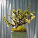 아산시여성회관 이미지