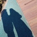 토정삼계탕 신정호관 이미지