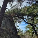 성왕산등산로 이미지