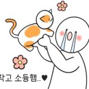 씨카페(c’cafe) 이미지