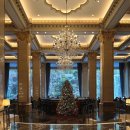 자동차와좋은사람들 | 롯데호텔 뷔페 연말모임장소 추천 라세느 방문후기