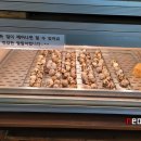 공룡타조랜드 이미지