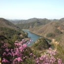 태양이용원 이미지