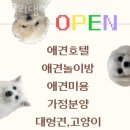 숭구리댕댕 이미지