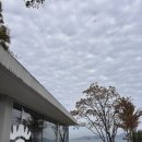 (주)화이트캐슬 | 거제 매미성 카페 거제도여행 아기랑 오션뷰 카페 추천 [매미캐슬]