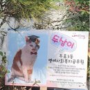 두류3동행정복지센터 이미지