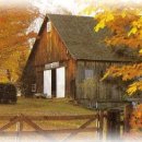 꿈이있는 이미지