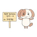 5월의 고해성사