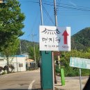전남 담양 애견동반 카페) 대형카페의 정원이 주는 고즈넉함이 좋았던 곳! 빙수와 커피 먹고 온 솔직후기!
