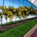 BEST 행정사사무소 이미지