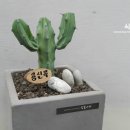 용신목장 이미지