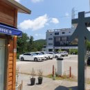 수목원피씨 이미지