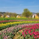 스테이순천 이미지