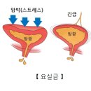 샘 이미지