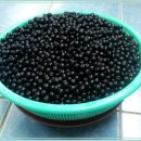 아로니아 액기스 개봉 이미지