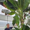 학포자연농장 이미지