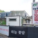 하늘돼지 이미지