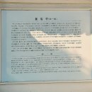 울산동축사관일대일출(334계단).울산연암정원.울산염포전망대.경주통일전은행나무길.25.11.16 이미지
