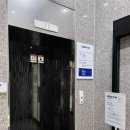 헬로그루밍 | [광주 서구] 우쭈쭈플렉스 광주 애견 유치원 호텔 추천
