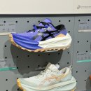 맥스 | 아식스 트레일러닝화 트라부코 맥스4 착용후기 사이즈 팁 정리