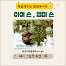 정나눔터 | <숨 쉬는 항아리> 그림책 수업 후기 마산 공동육아 나눔터