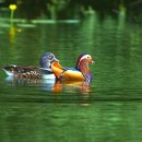 흐르는물 이미지