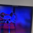 까미나라