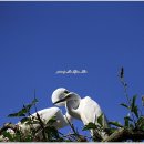 소근소근 이미지