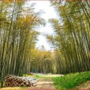 연암공업대학교 입구 이미지