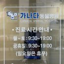 가나다 동물병원 이미지