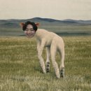떠나간 사랑 잊혀질 사람