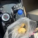 3월 4-5주차: 약속 | 효소찜질 | 에버랜드