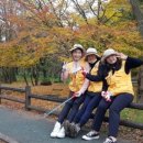 한라환경 이미지