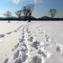 이른봄의 서정 이미지